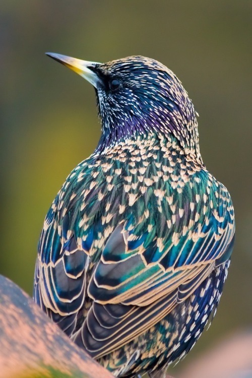 Tumblr otm160p M9r1s1vn29o1 500