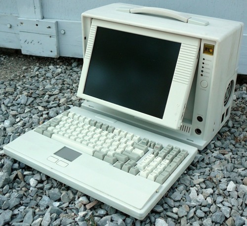 Tumblr nq60q8 ZJD81tigc1po1 500