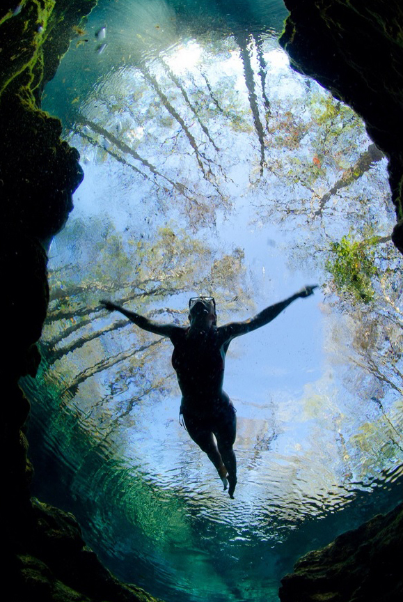 Pond