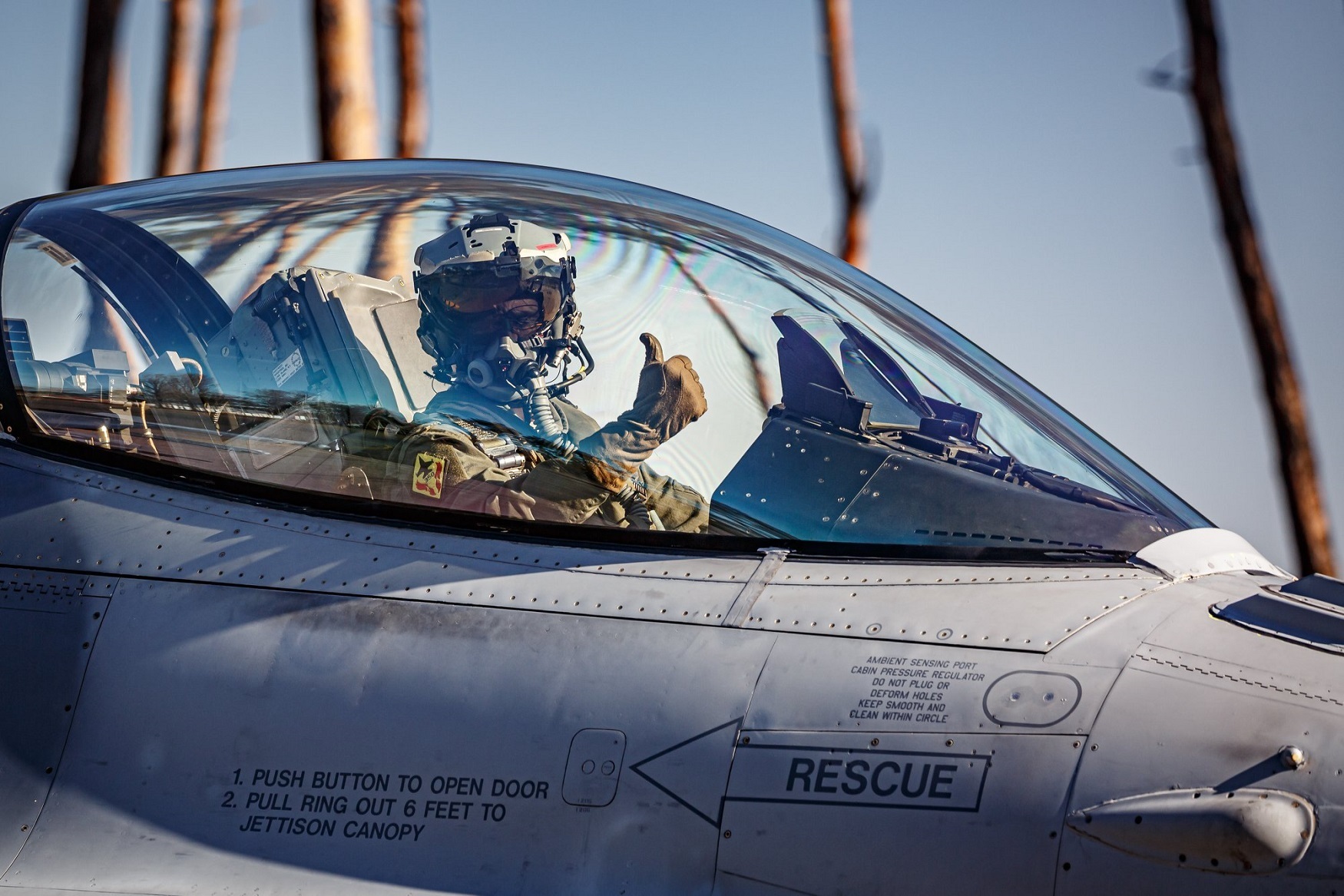 1615918656 F 16 MLU 5000 heures de vol commandant De Vries cockpit sujet FA Bjpg