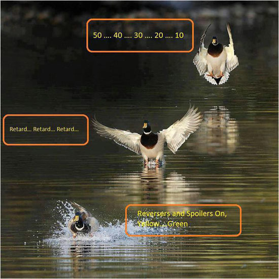 Landings