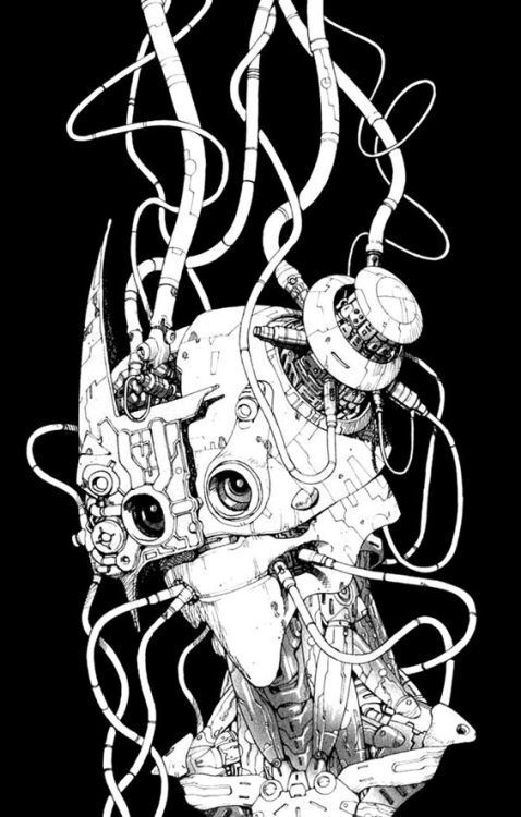 Tumblr ofq5ubm Qcp1qkbpm3o1 500