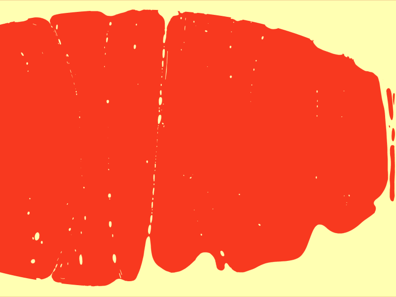 Tumblr nya1e2z Eo Z1s5f7v4o1 1280