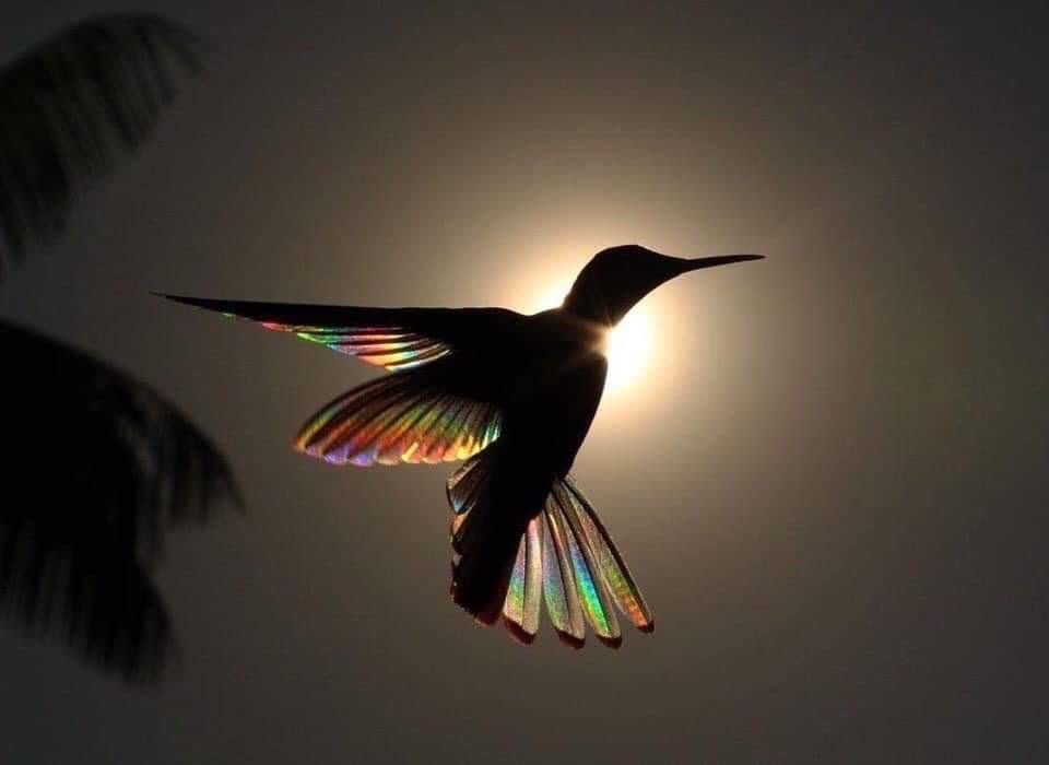 1562673419 img 3500