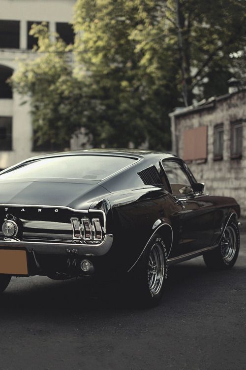 Mustang