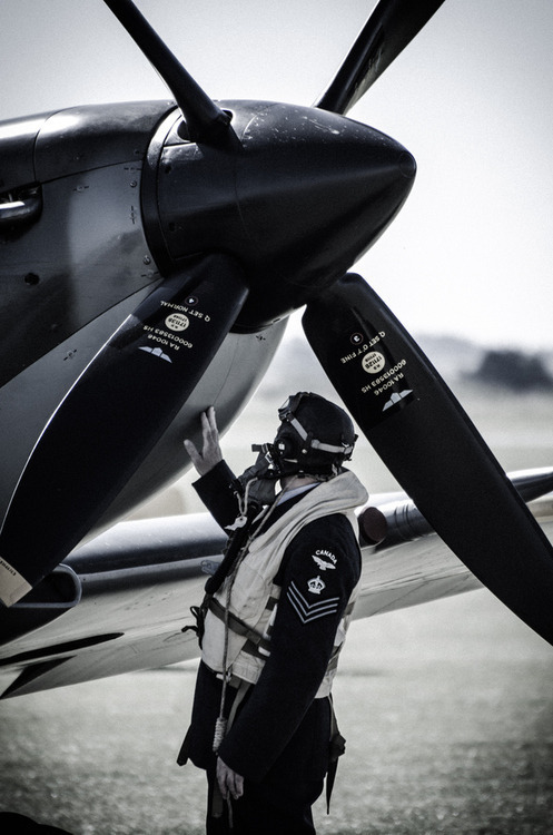Tumblr mdca95vu GN1rjn9uto1 500