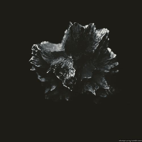Tumblr ogjdvxl G Wd1v5ijj7o1 500