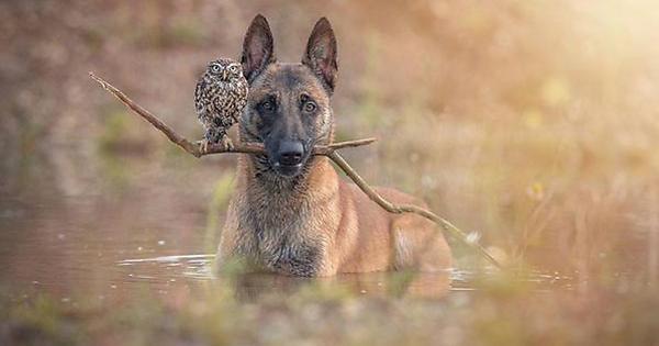 Gi Vi Tb A fb
