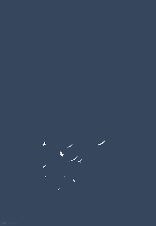 Tumblr ngeb13j MJW1s2xab7o1 500
