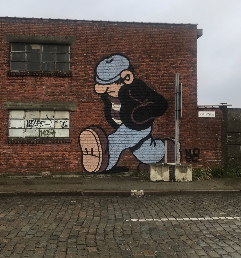 Img 7592